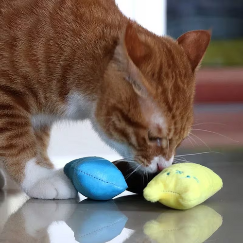 Cat Design Cat Teaser Toy Containing Squeaky Plush - petproducts